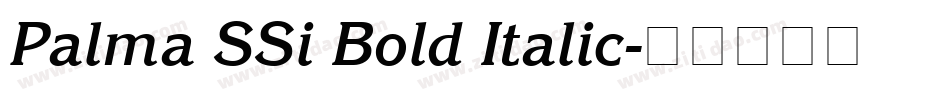 Palma SSi Bold Italic字体转换